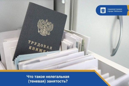 Что такое нелегальная (теневая) занятость?