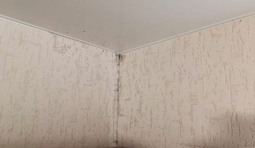 ��� ���������� � �������� � �������� � ������������� �� ��������� ���������