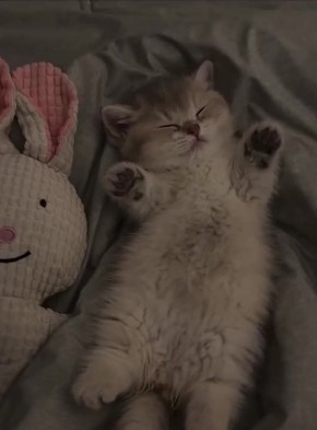 Доброе утро! Прекрасного дня