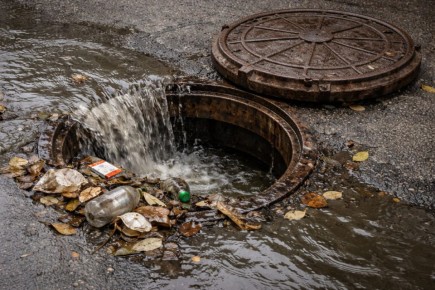 ������������� ������� ������ �� ��������� ������� ��� ������ ����� ���