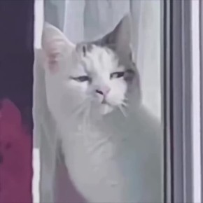 ��� ����, ����� � � ���� �������� ������