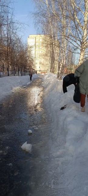 ���� �� 9-� ����� ����������� � ������ �����������