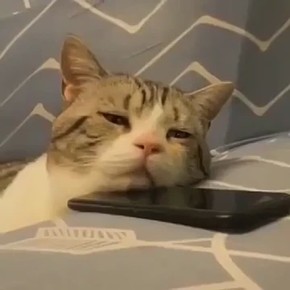 ���������: ���� �������� ����� ��������� 19 �����*