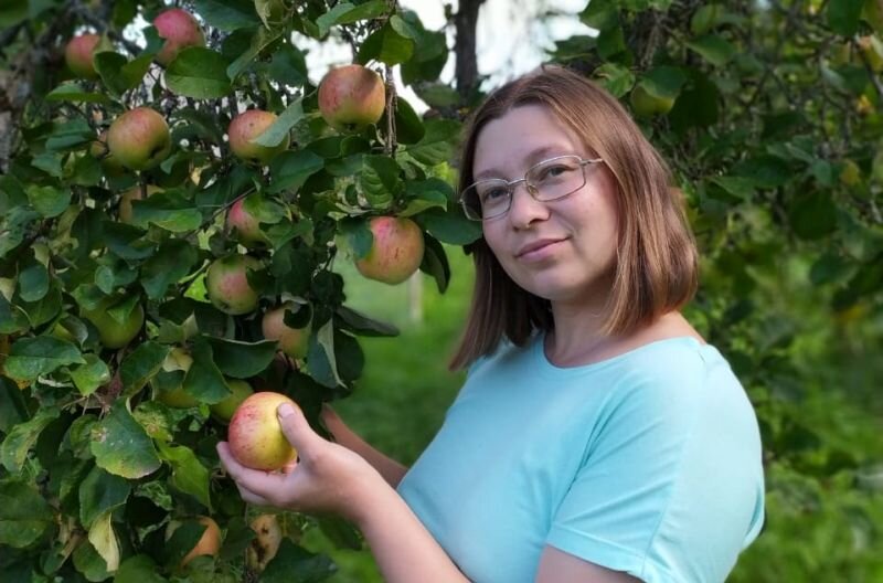 Как обеспечить регулярный урожай яблок: простые советы