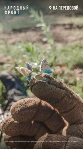 Красота в глазах смотрящего, говорят люди