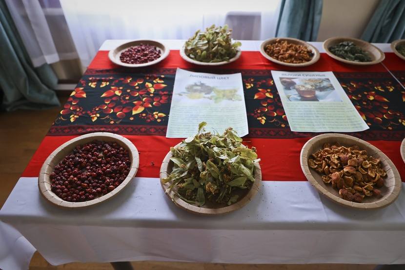 Целебная сила родной земли Целебная сила родной земли