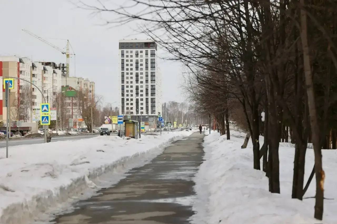 Друзья, сегодня дали старт долгожданному проекту — «Менделеев парк» Друзья, сегодня дали старт долгожданному проекту — «Менделеев парк»