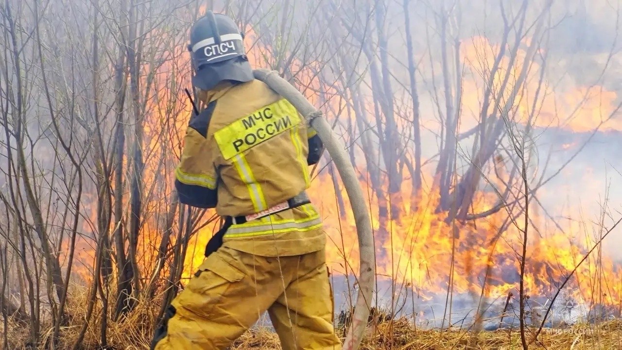 Международный день лесов — отличный повод вспомнить о безопасности!