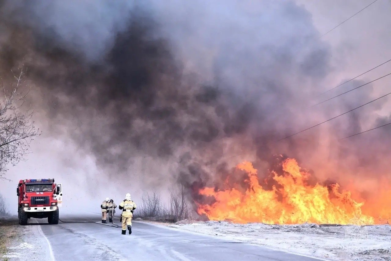 Международный день лесов — отличный повод вспомнить о безопасности! Международный день лесов — отличный повод вспомнить о безопасности!