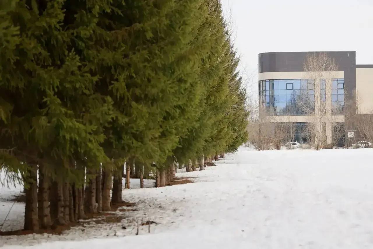 Друзья, сегодня дали старт долгожданному проекту — «Менделеев парк» Друзья, сегодня дали старт долгожданному проекту — «Менделеев парк»