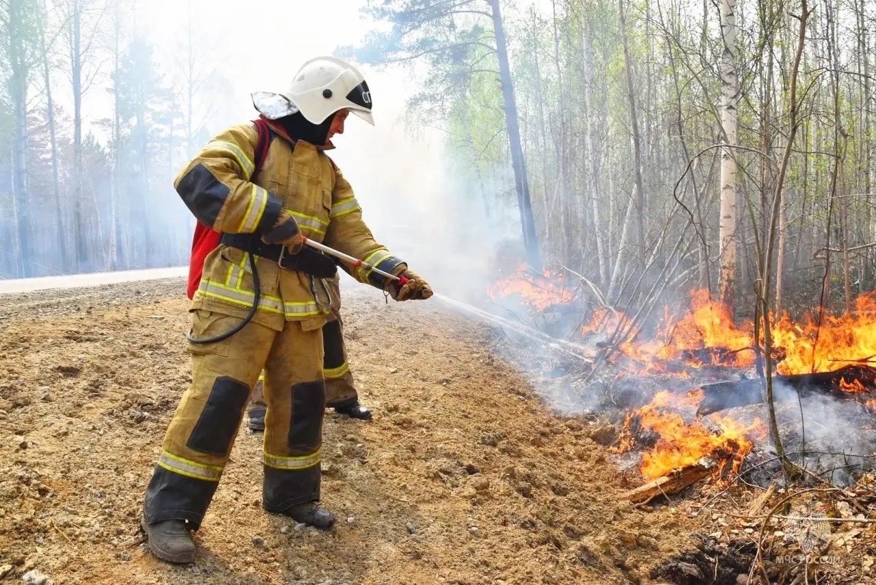 Международный день лесов — отличный повод вспомнить о безопасности! Международный день лесов — отличный повод вспомнить о безопасности!