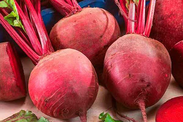 Как ухаживать за свёклой Мадам Ружетт: секреты успешного выращивания