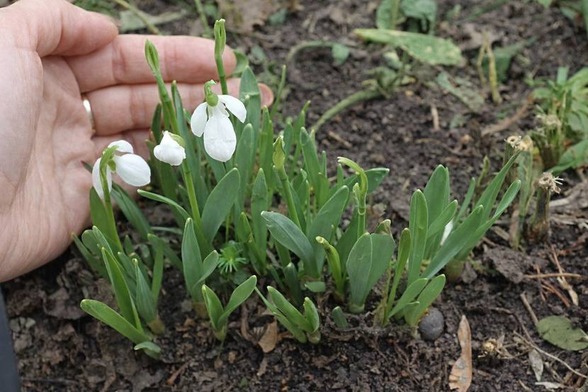 Лунный календарь на апрель
