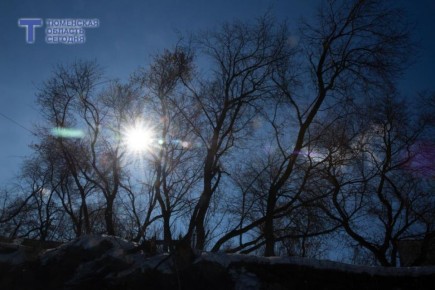 Погода в Тюменской области на 22 марта: