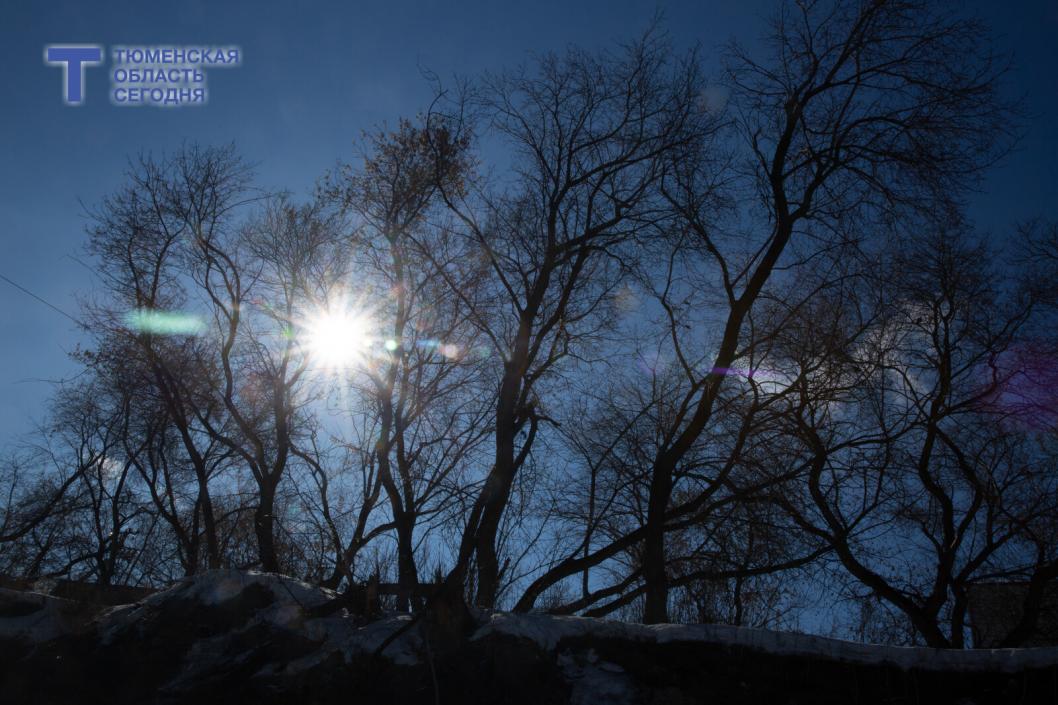 Погода в Тюменской области на 22 марта: