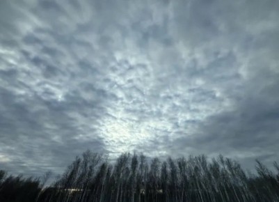 ������� � ������ ��������� �� + 7 ��������