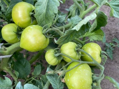 ��� ��������� ������ ��������� � ����: ����������� ������ � �������