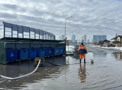 ������� ���� �� ��. ���������