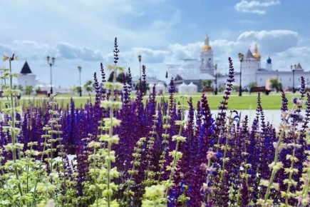 ��������� ������� � ����������� ��������� ������� �������� ������ �����, ����������� ������ � ������ ��������� �������� �� ������������ ������������� ������� VisitTyumen.ru