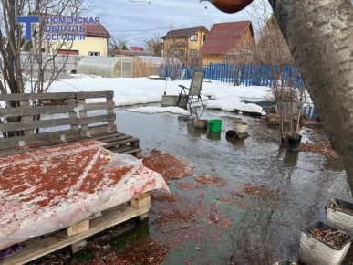 Коротко за день, 26 марта: