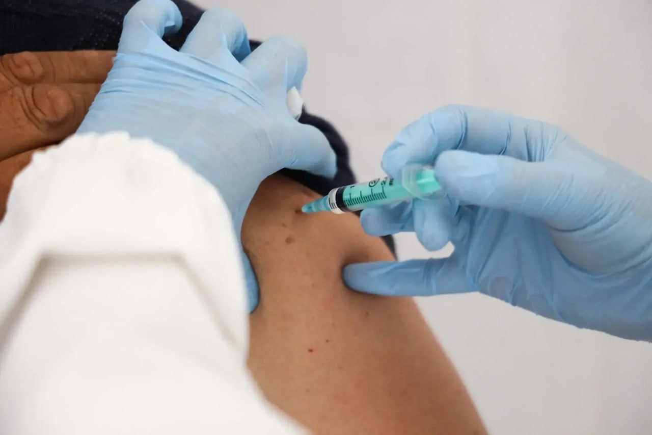 В Тюменской области стартовала прививочная кампания против клещевого энцефалита