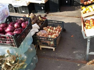 Тюмени официальный сезон уличной торговли начнётся 1 апреля