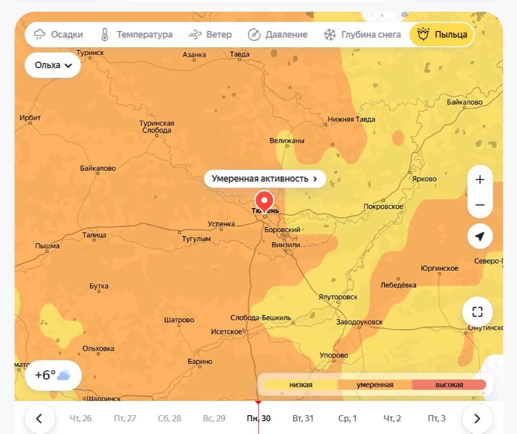 В Тюменской области начинается сезон аллергии