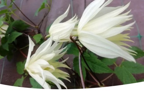 ������� � ����� ����: ��� ��������� ������� � ���������