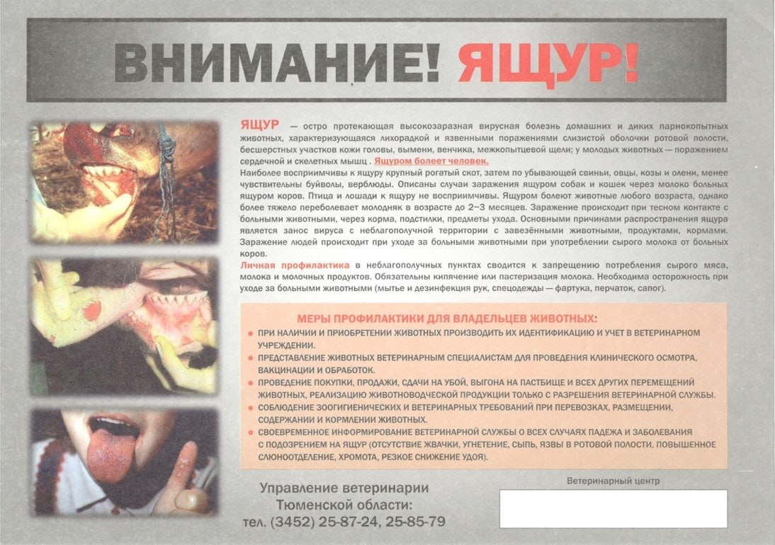 Уважаемые жители Тобольска и владельцы домашних животных! Уважаемые жители Тобольска и владельцы домашних животных!