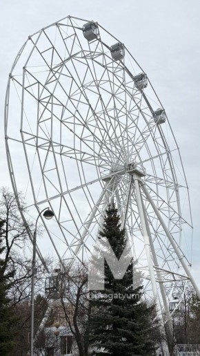 Как там дела с колесом обозрения на Цветном бульваре?