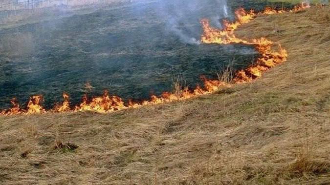 В Тюменской области зарегистрированы первые ландшафтные пожары