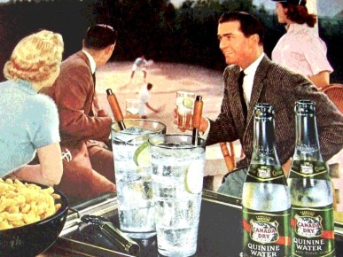 ����� ������ �� ����-�����: ��� ��������� ������ ���������� ��������