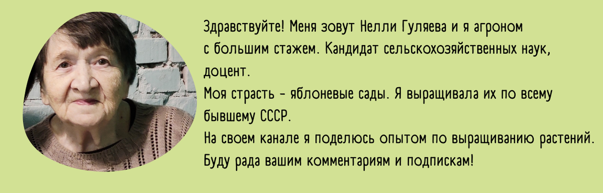 Как защитить морковь от вредителей: эффективные методы борьбы с морковной мухой