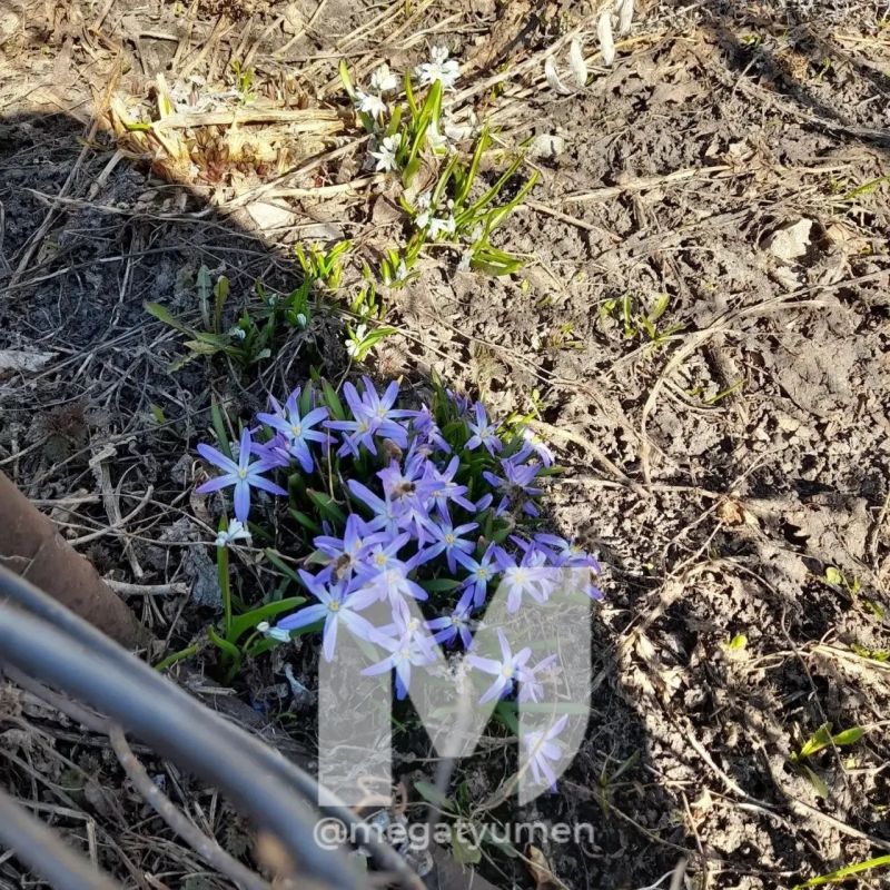 �� ������ �������� ������ ���������� ������ �������� �����