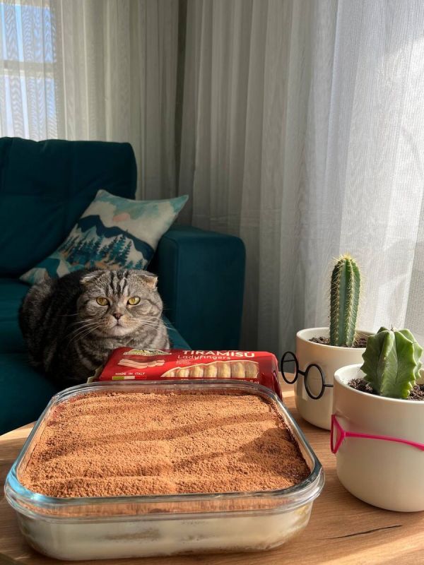 ���������� ������ ��������: ��� ����������� �������