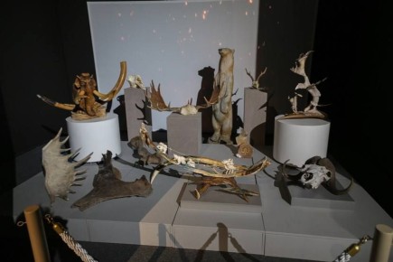 � �������� ��������� ����� �������� ��������� ���������� ������������ �������� ������, �������� ����