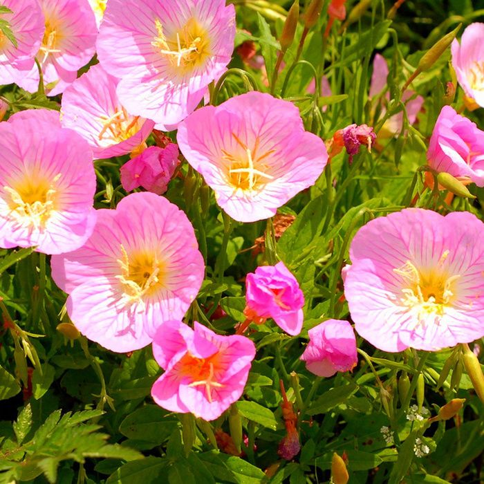 �������: ������������� �������� ��� ������ ����