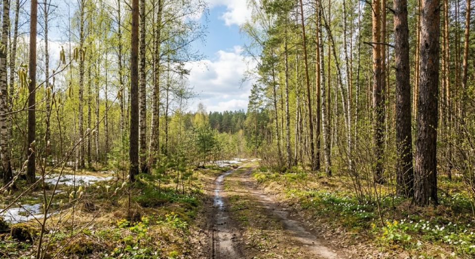 � 6 ������ � ��������� ������� ���������� ������������� �����