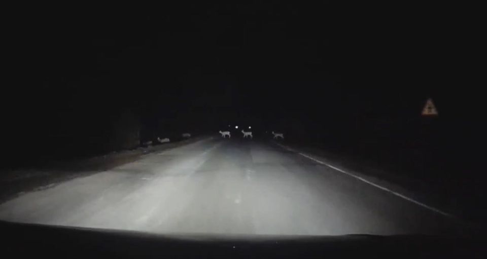 �� ��������� ������ ��������� ������!