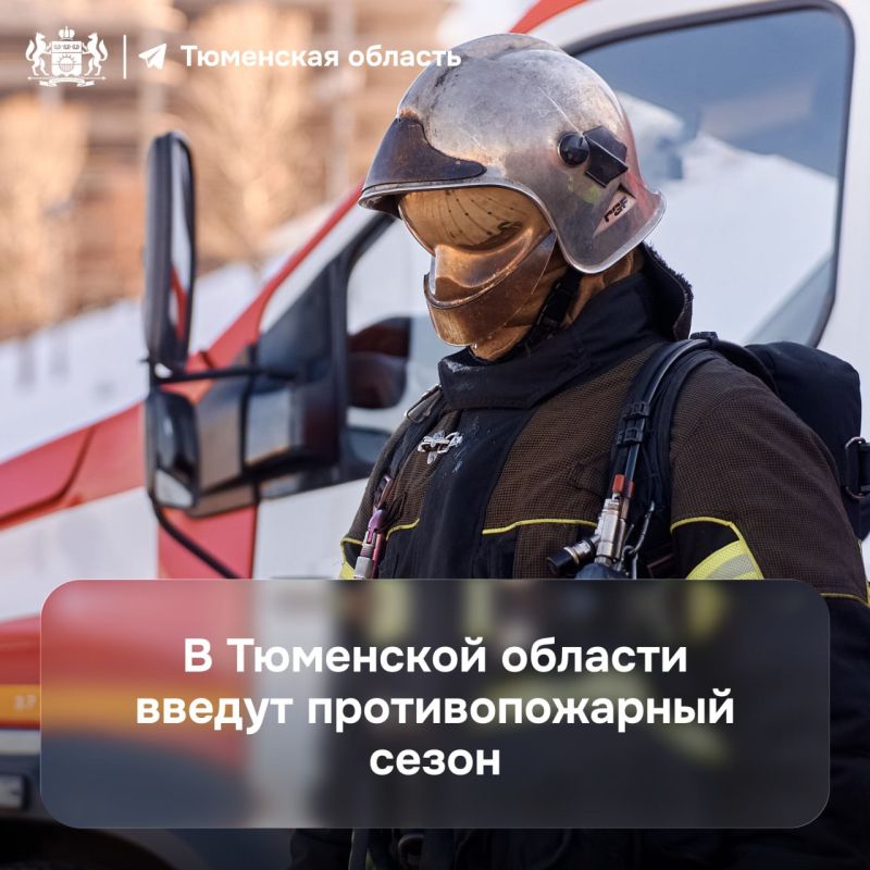 � 6 ������ � ��������� ������� ��������������� ������������� �����