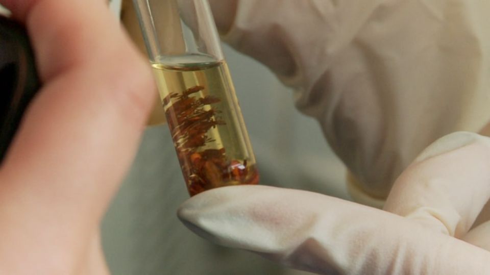 ����� 60 ������� ���������� �� ����������� ������� �� ������ ������������ ������ � ��������� ������� �� ������ �� 1 ������