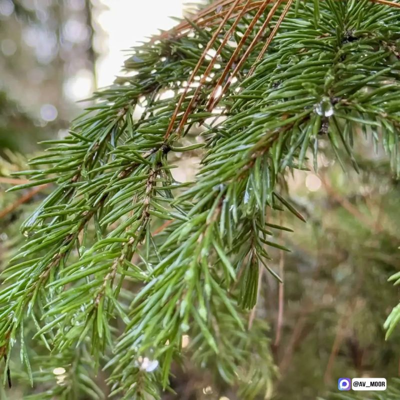 ��������� ����: � 6 ������ ������������� � ��������� ������� ������������� �����