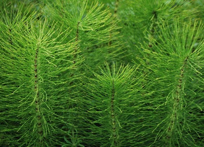 ��� �������� ���������� �� �����: ����������� ������ ������ � ������������ ���������