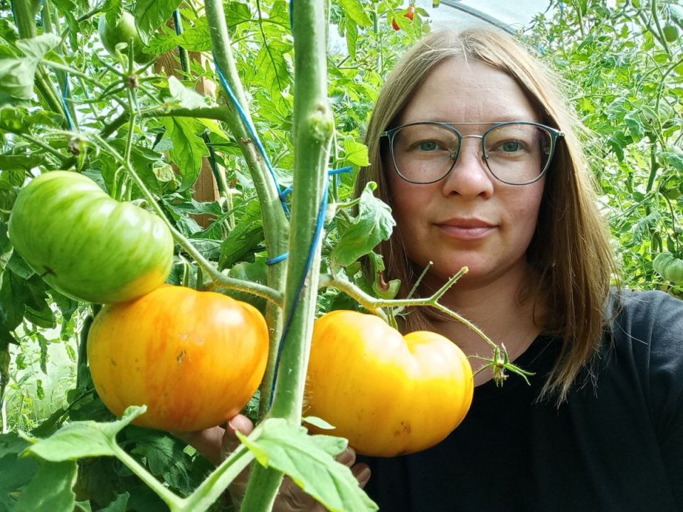 ���������� �����: ��� ����� ���� �������� ������ ��������� ������