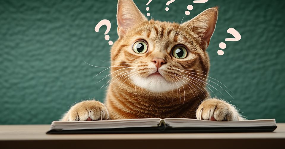 ������ �� ���������� �������: ����������� ����������� � �������� ��������