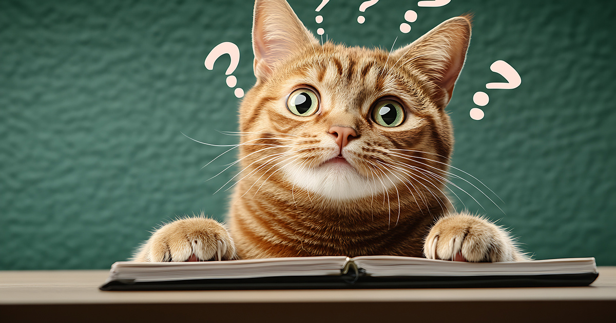 Ответы на актуальные вопросы: управляющие организации и жилищные проблемы