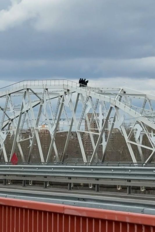 � ������ ����-���������� ��������� �� ����