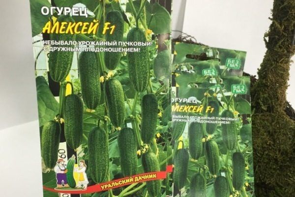 ������ �������: ������������ ������ � ����, ������� ���������� ���������