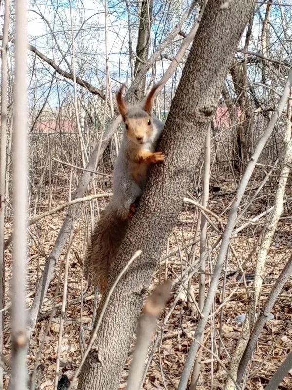 ��� ������ ���������� ��� ������� ����� � ������ �� ������