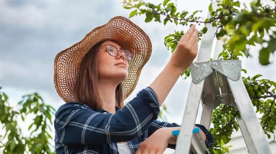 ��� ������� ����������� ���: ������ �������� ��� ������ ��������